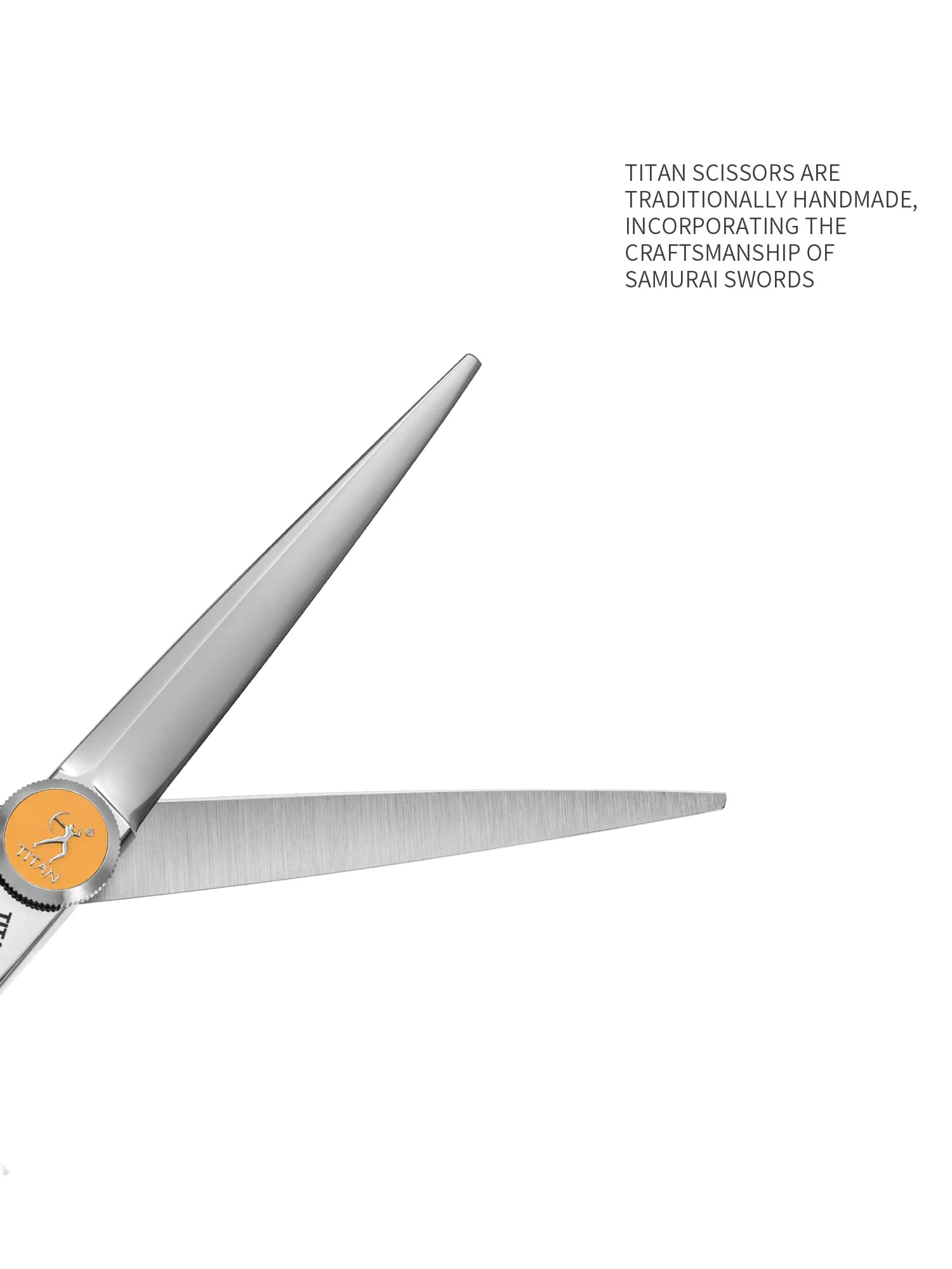 Hikari Titan Professional Japanese Hair Scissors – 440C Steel Cutting & Thinning Shears